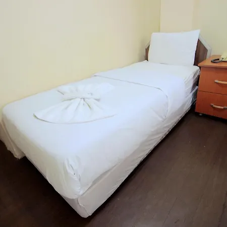 Hotel Metro